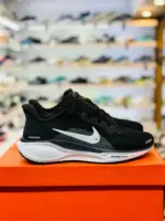 Nike Air Zoom Pegasus 41 [1:1]