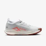 Nike Pegasus Trail 5 GORE-TEX [1:1]