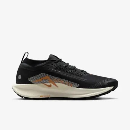 Nike Pegasus Trail 5 GORE-TEX [1:1]