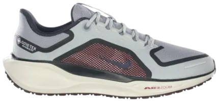 Nike Pegasus 41 GORE-TEX [1:1]