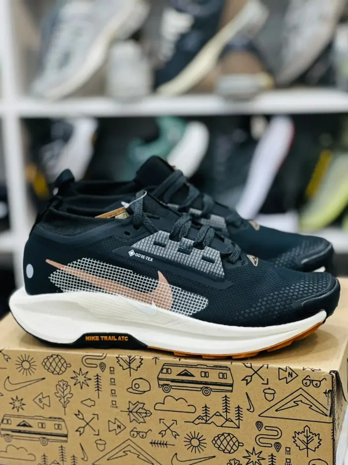 Nike Pegasus Trail 5 GORE-TEX [1:1] - Image 2