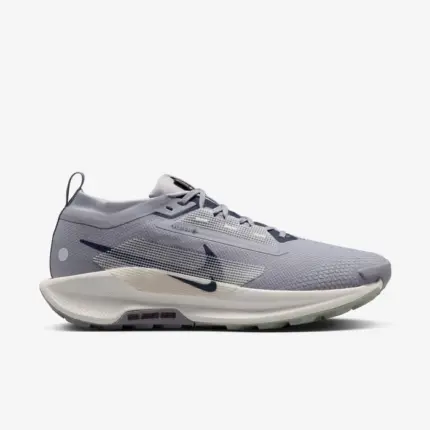 Nike Pegasus Trail 5 GORE-TEX [1:1]