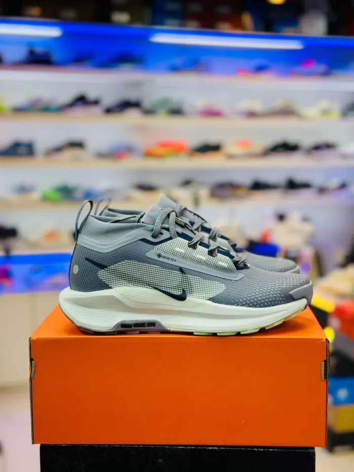 Nike Pegasus Trail 5 GORE-TEX [1:1] - Image 5