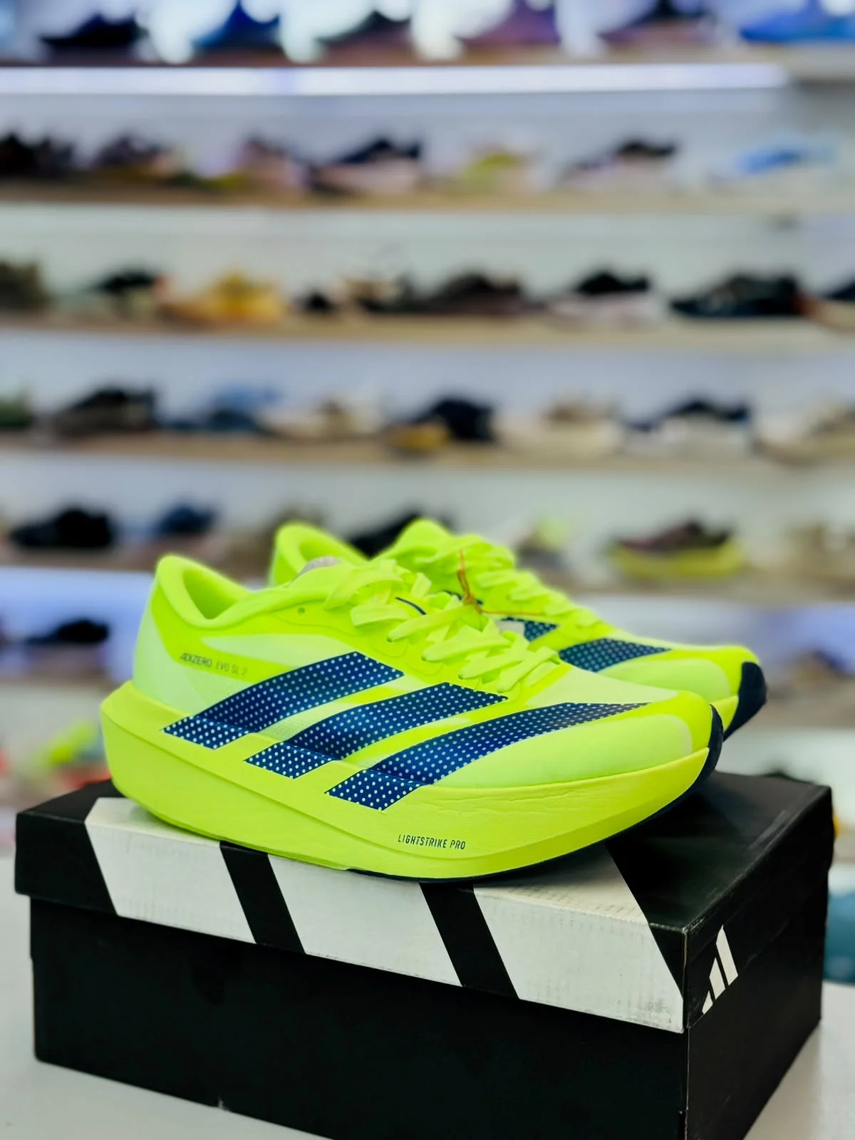 image Adidas Adizero Evo SL 2 - Image 1